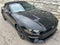 2023 Ford Mustang EcoBoost